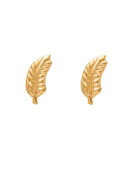 Broqueles de hoja Roca Dama de oro con acabado brillante