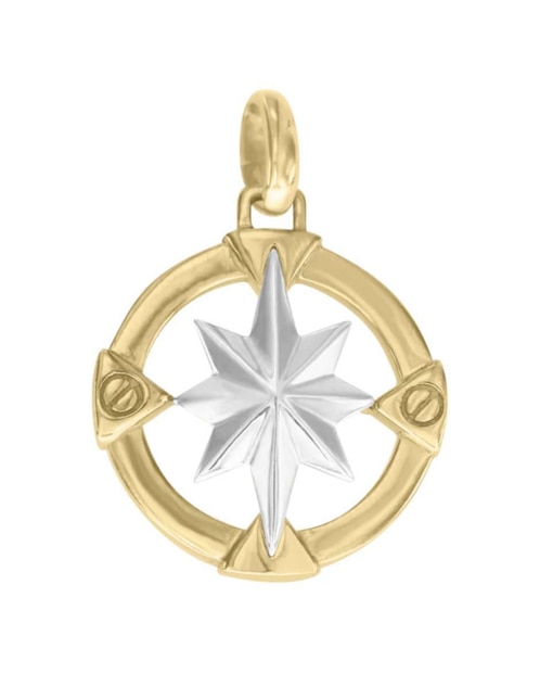Dije de brújula rosa de los vientos de oro 14 K 1