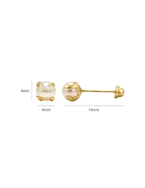 Broquel de esfera Mancini de oro 10 k perla