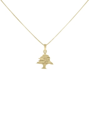Colgante Y Dije de pino Fianelli arl de oro 14 K