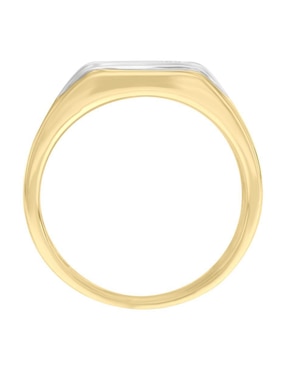 Anillo Fascinare Joaquín 14 k de oro rubí brillante