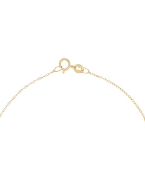 Collar Dinasti de oro 14 K