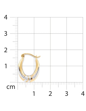 Arracadas Joyerías Bizzarro de oro amarillo 14 K con acabado brillante
