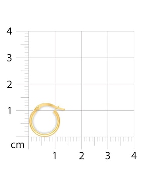 Aretes circulares Joyerías Bizzarro de oro