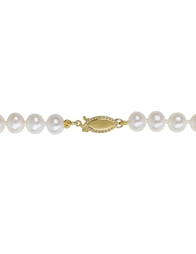 Collar Julianna B de oro amarillo 14 K