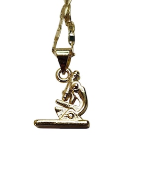 Collar con dije Limerence By Claudia Herrera Microscopio de oro laminado 14 K