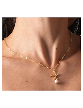 Aretes y collar de colibrí con baño de oro 18 k perla
