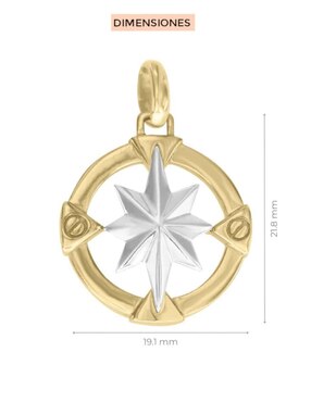 Dije de brújula Fianelli rosa de los vientos de oro 14 K
