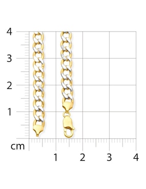 Cadena Joyerías Bizzarro de oro amarillo 14 K