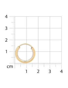 Arracadas Joyerías Bizzarro de oro amarillo 14 k con acabado brillante