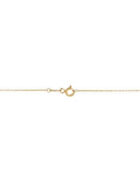 Cadena Richline Group de oro 14 K