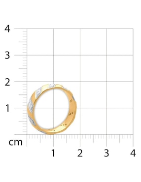 Argolla de oro amarillo 14 k Joyerías Bizzarro