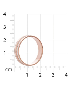 Argolla de oro blanco 14 k Joyerías Bizzarro