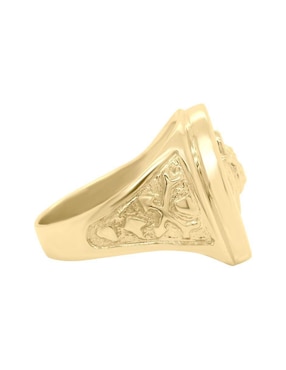 Anillo de caballo Fianelli Barak 14 k de oro brillante