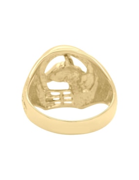 Anillo de caballo Fianelli Barak 14 k de oro brillante
