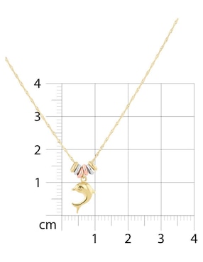 Gargantilla de delfín Joyerias Bizzarro de oro florentino 14 K