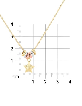 Gargantilla de estrella Joyerias Bizzarro de oro florentino 14 K