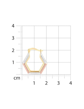Arracadas de hexagonal Joyerias Bizzarro de oro florentino 14 k con acabado brillante