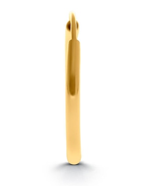 Arete individual circular Joyerías Bizzarro de oro amarillo 14 K con acabado brillante