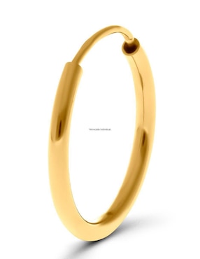 Arete individual circular Joyerías Bizzarro de oro amarillo 14 K con acabado brillante