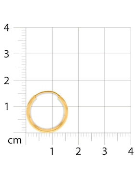 Arete individual circular Joyerías Bizzarro de oro amarillo 14 K con acabado brillante