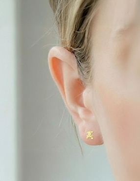 Arete de rana Joyería M De Leon de oro amarillo 10 K con acabado brillante