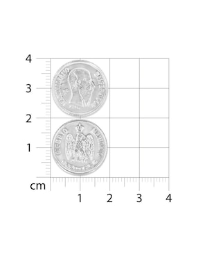 Arras matrimoniales Joyerias Bizzarro de plata P 925