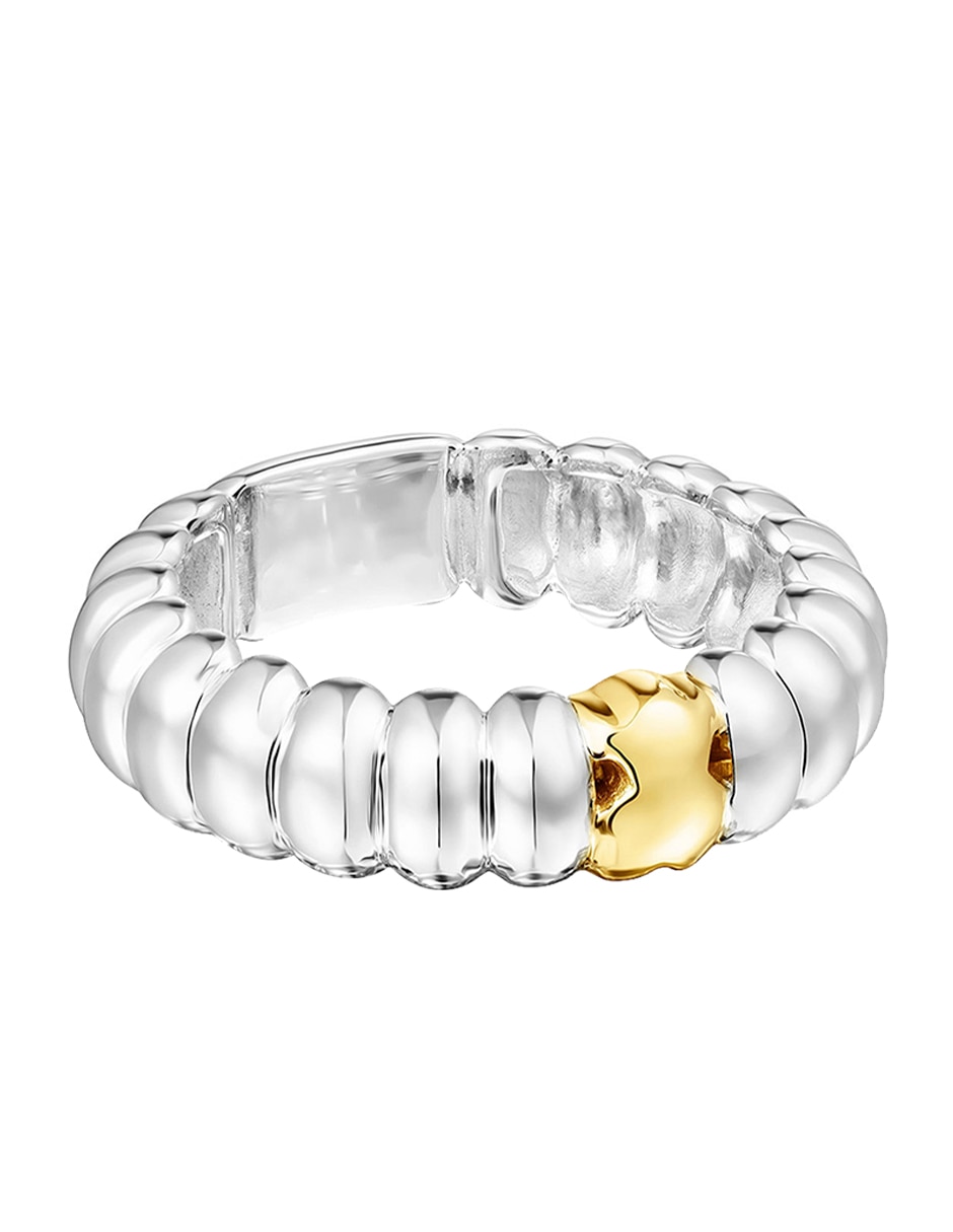 Anillo Virtual garden P 925 de plata brillante 2