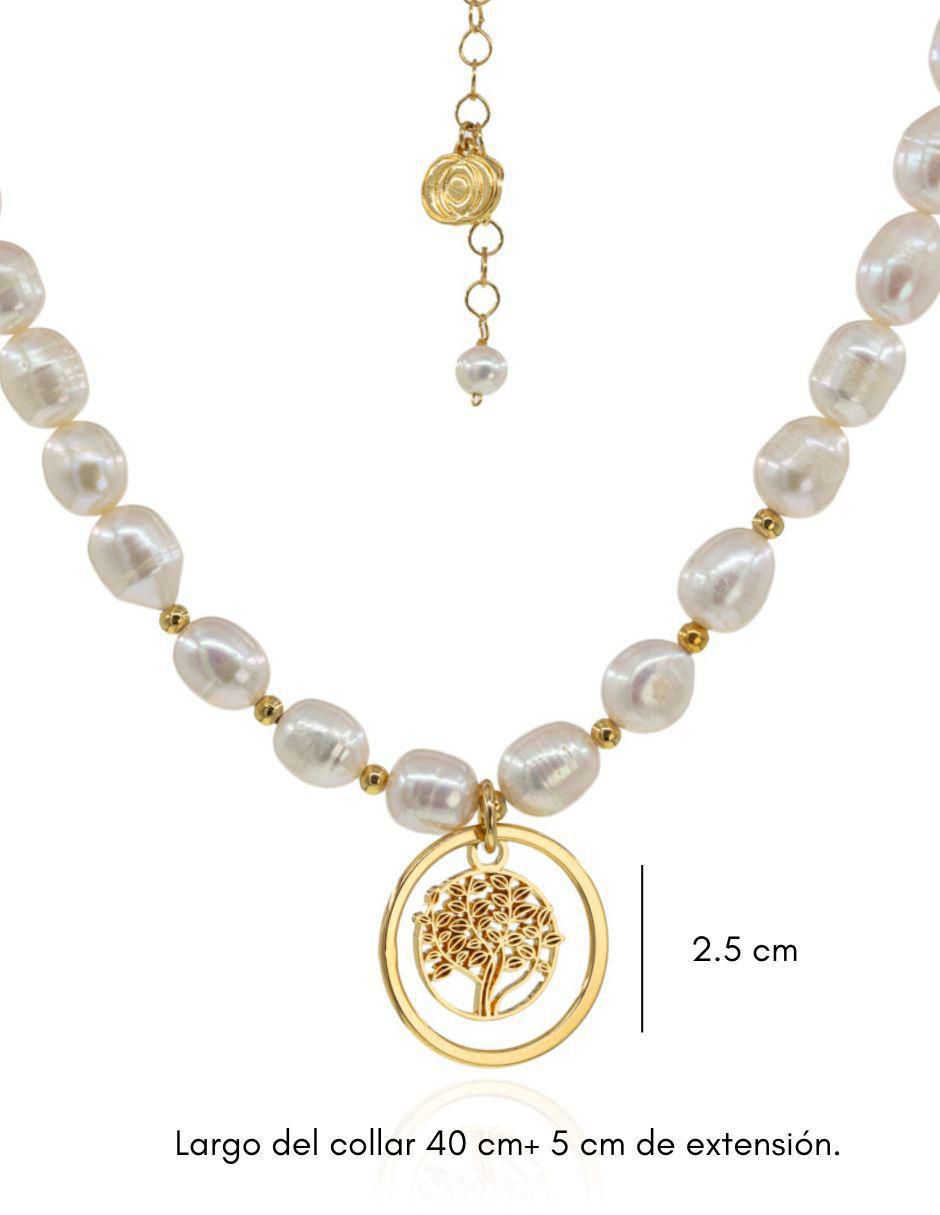 Collar de árbol 4