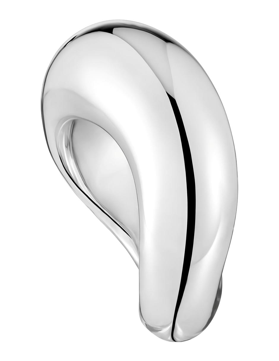 Anillo Galia Basics P 925 de plata brillante 2