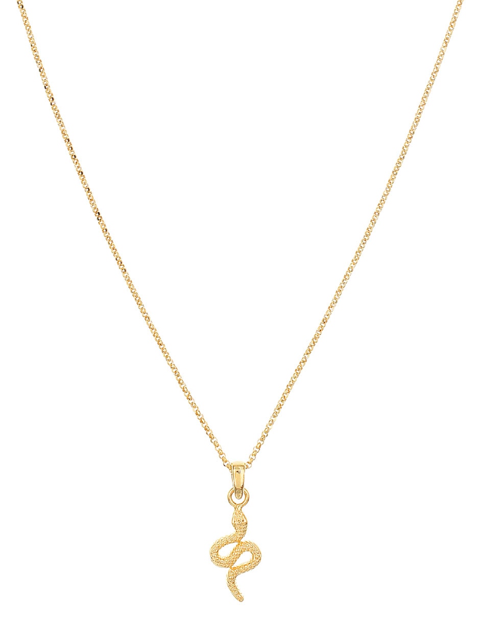Collar de serpiente de plata P 925