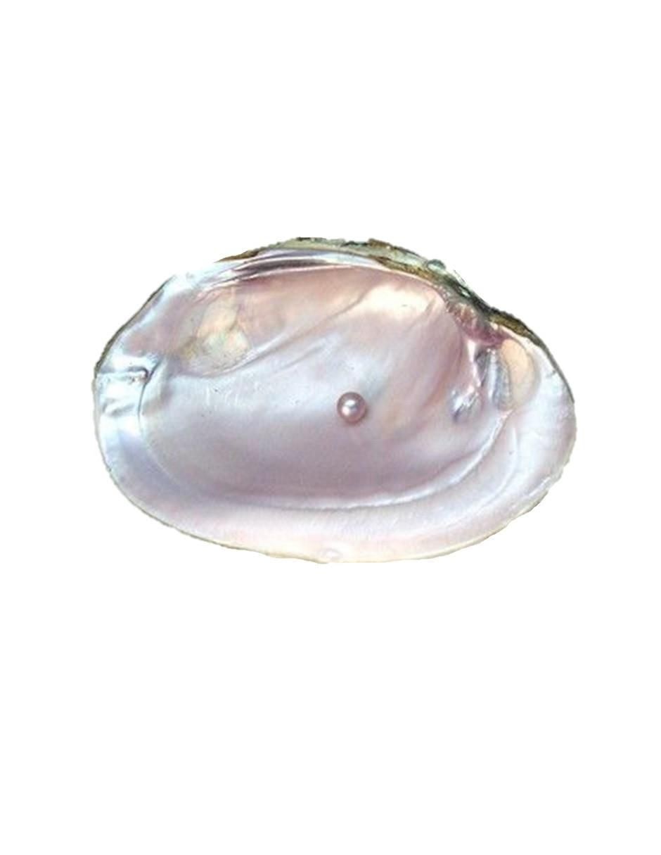 Broqueles redondos de plata P 925 con acabado plateado perla 3