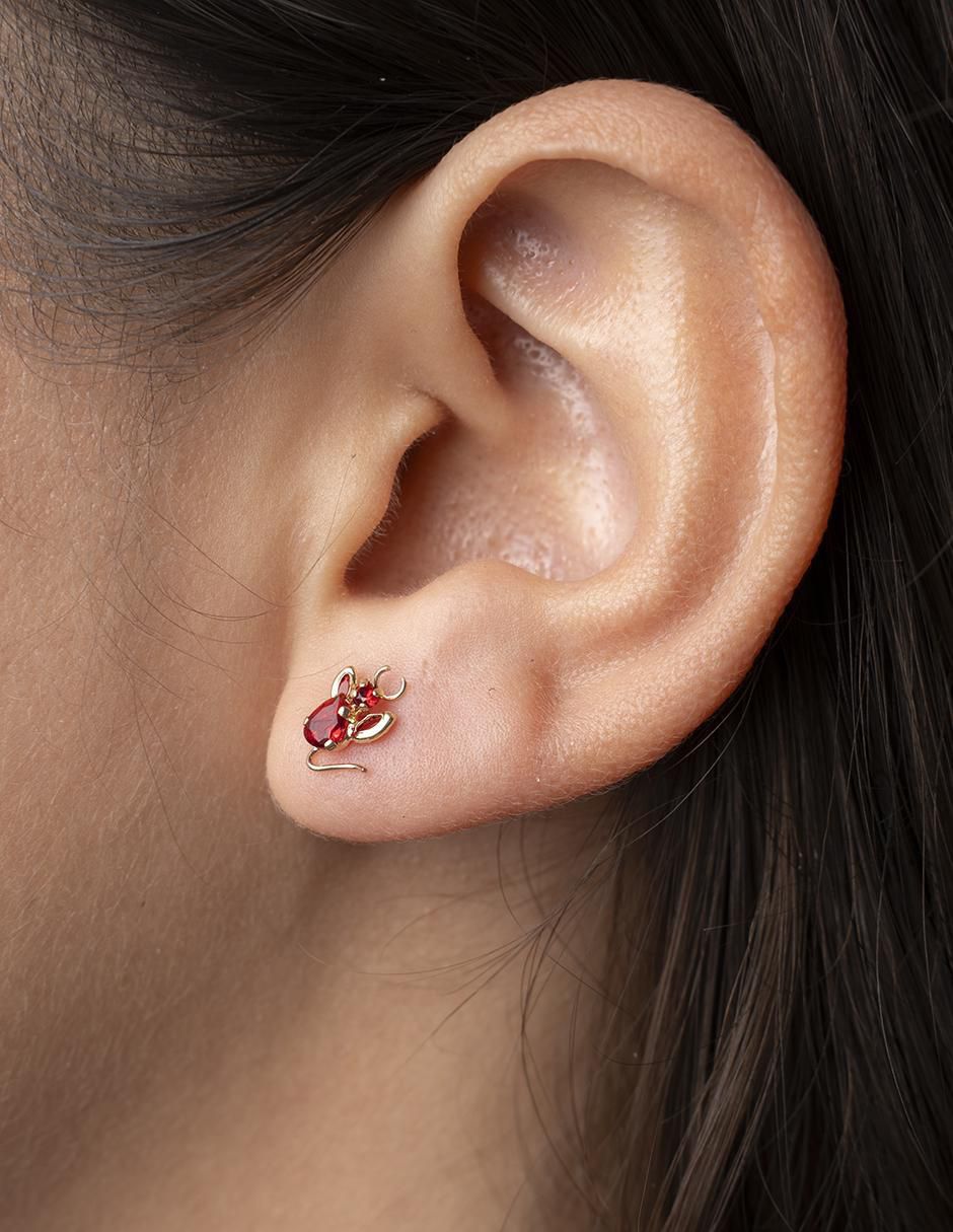 Broqueles de diablo de oro con acabado brillante zirconia 2