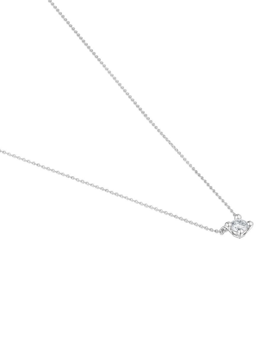 Collar Shine Lgd 3