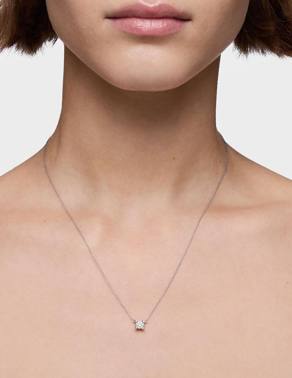 Collar Shine Lgd 7