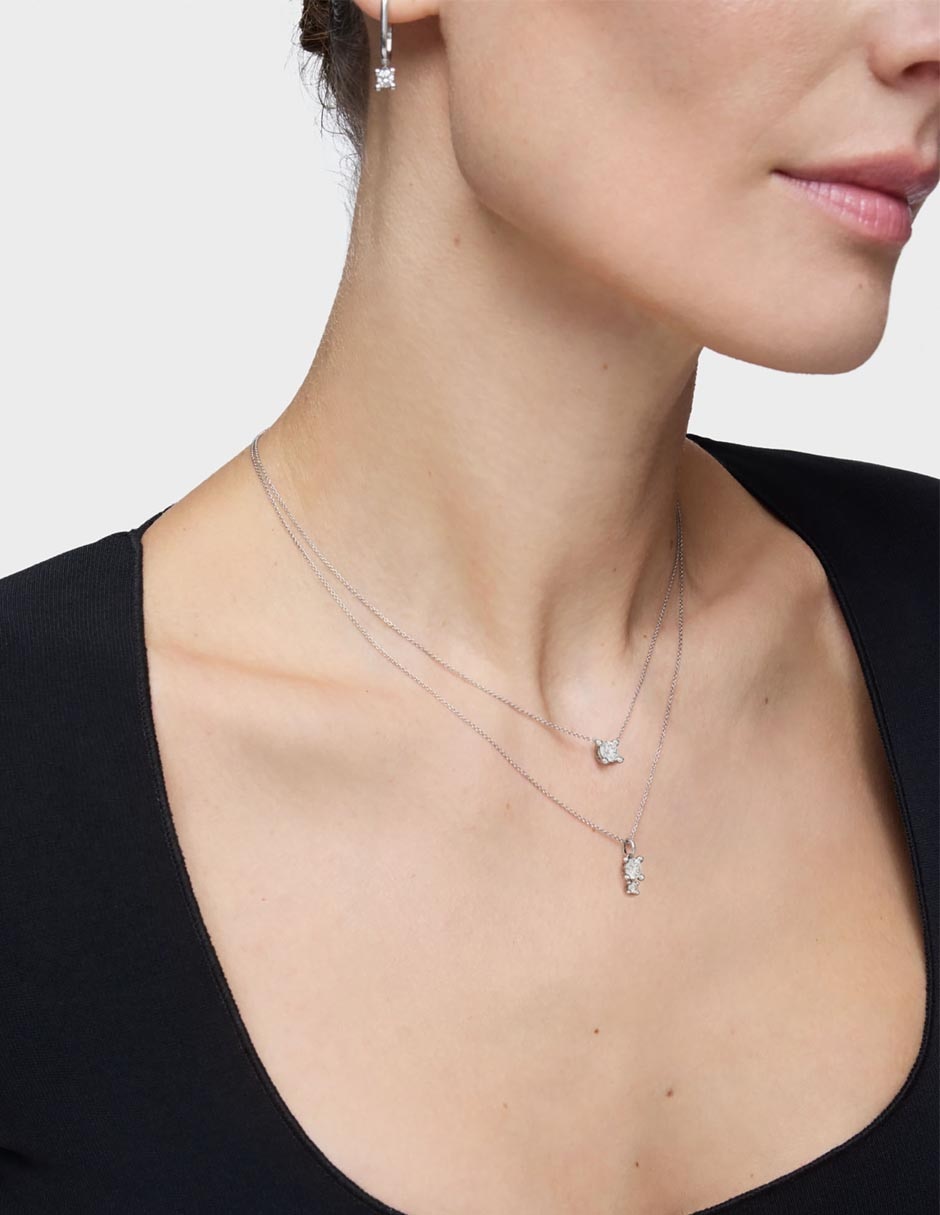 Collar Shine Lgd 6