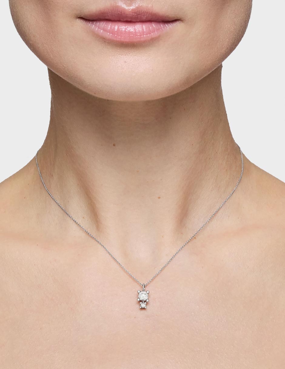 Collar Shine Lgd 8