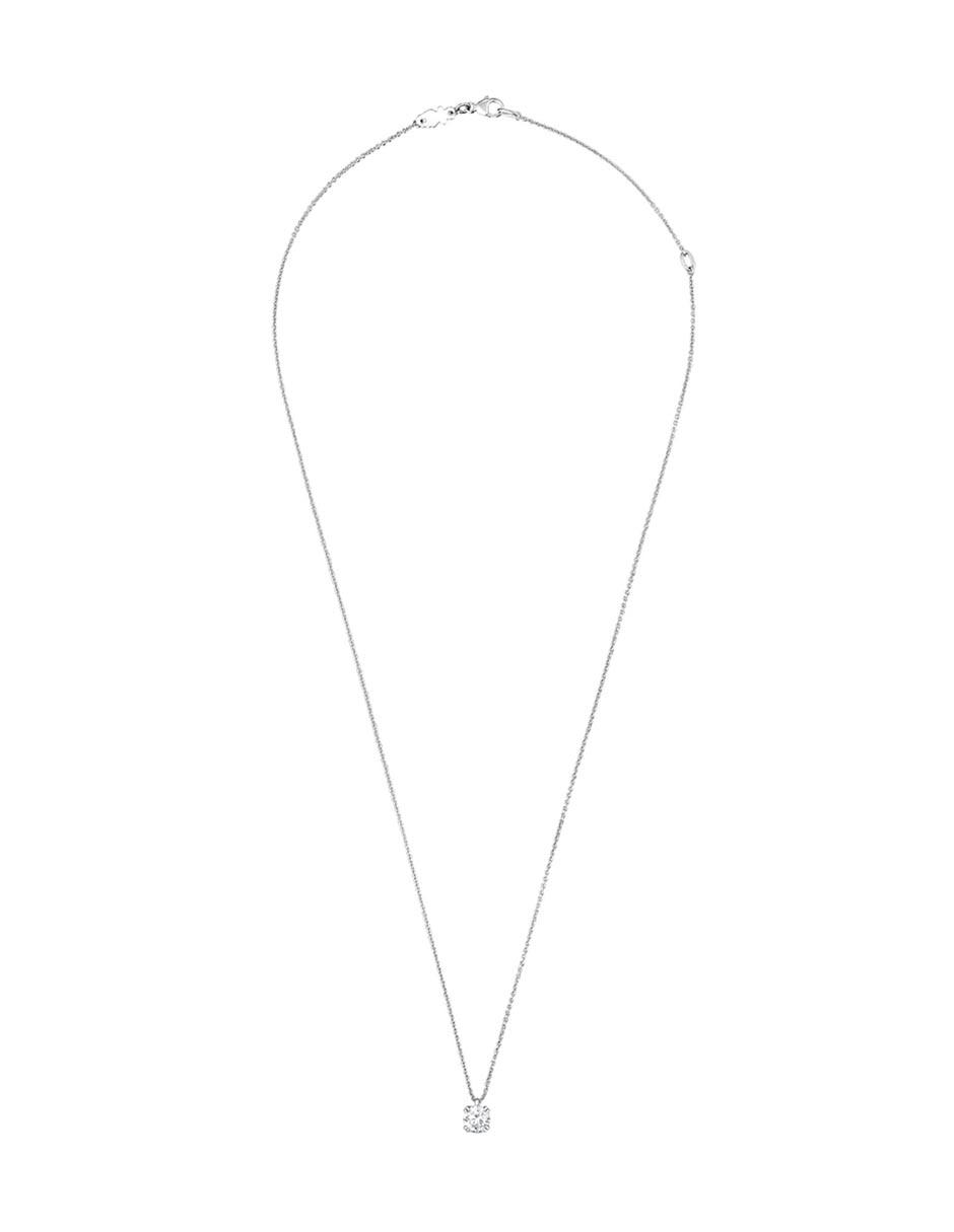 Collar 2