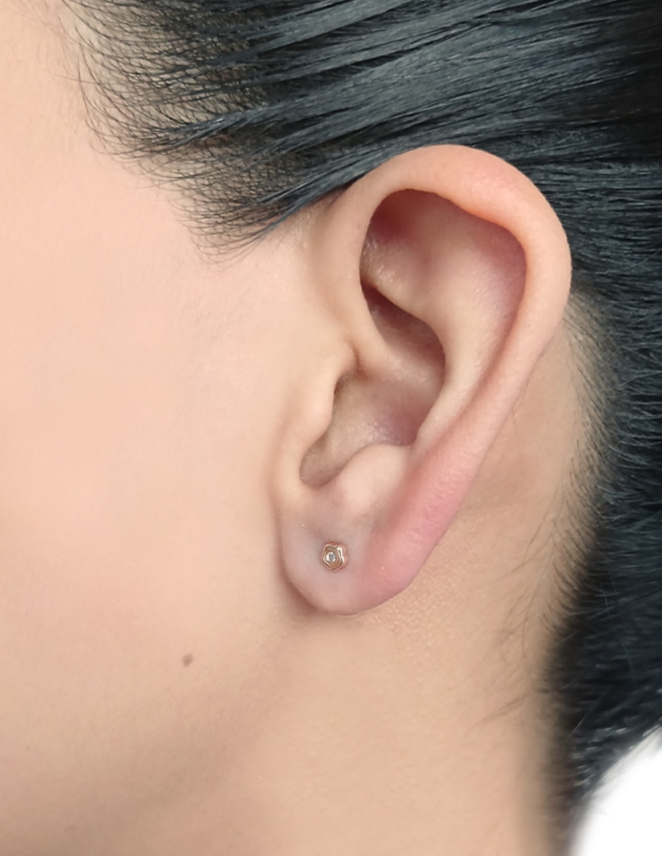 Broqueles de flor con acabado brillante diamante 2