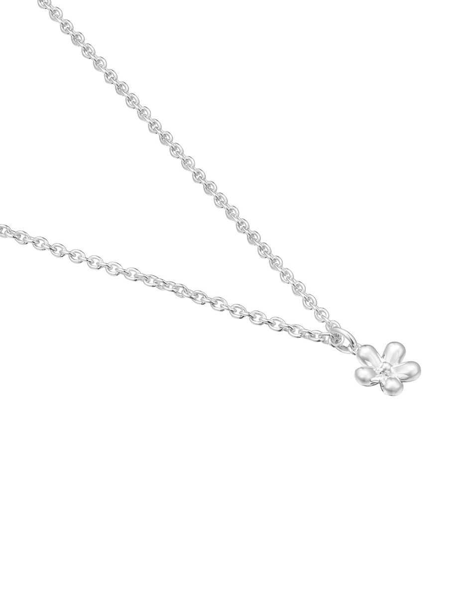 Collar de flor Daisy de plata P 925 3