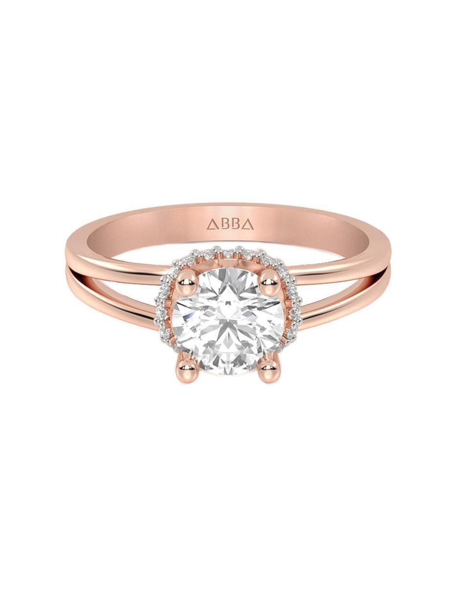 Rosa 2