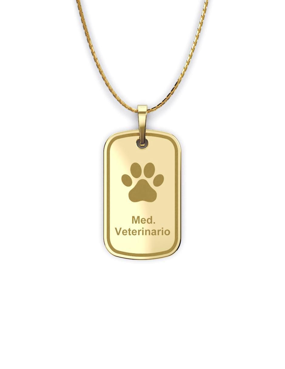 Collar con dije Graduación de oro 10 K