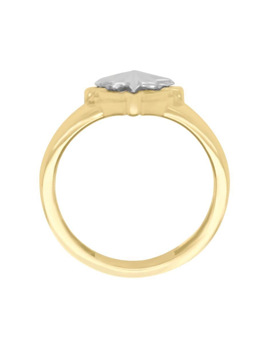 Anillo de estrella Rosa de los vientos 14 k de oro brillante 4
