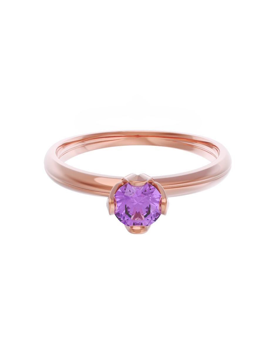 Rosa 2