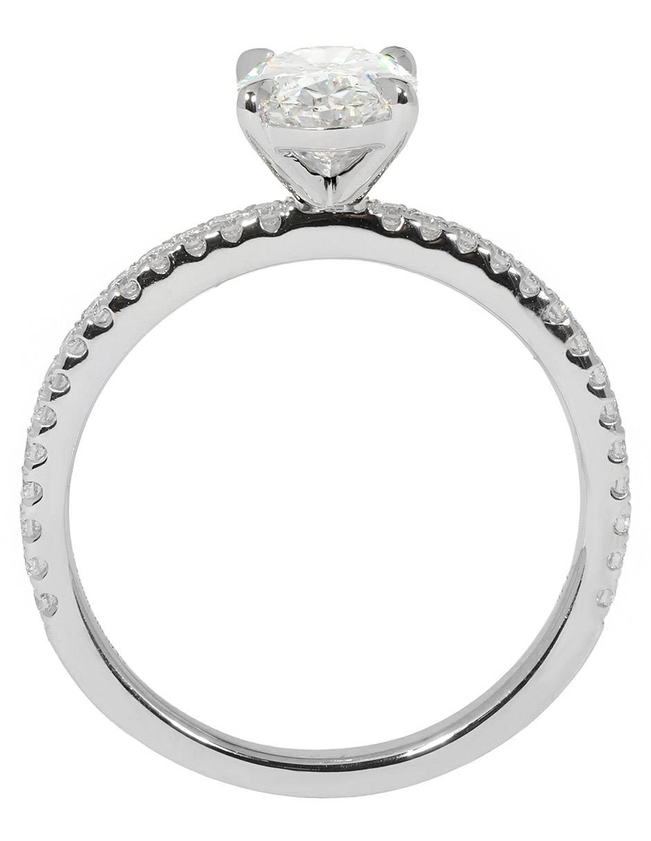 Solitario de oro blanco 14 k Pave Petite 4