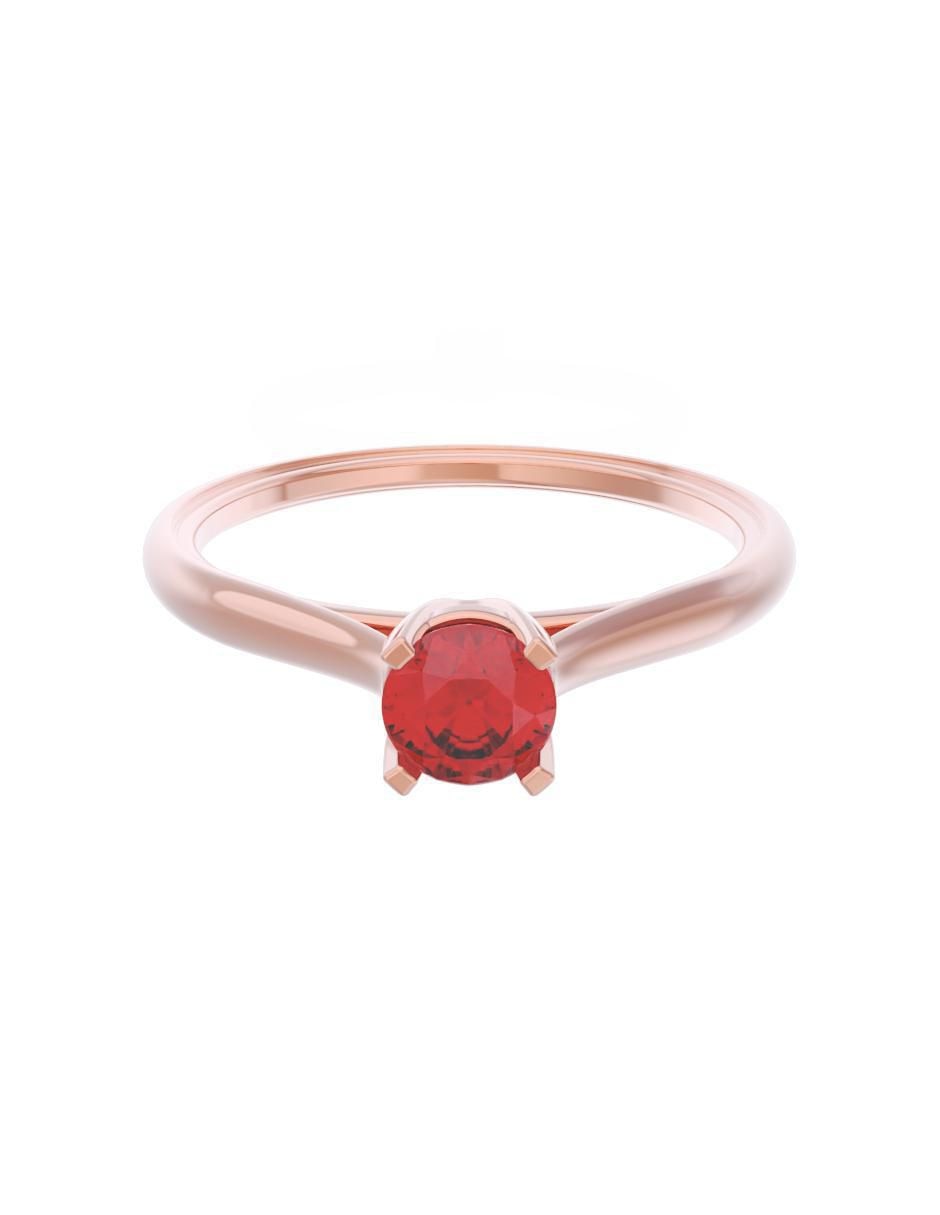Rosa 2