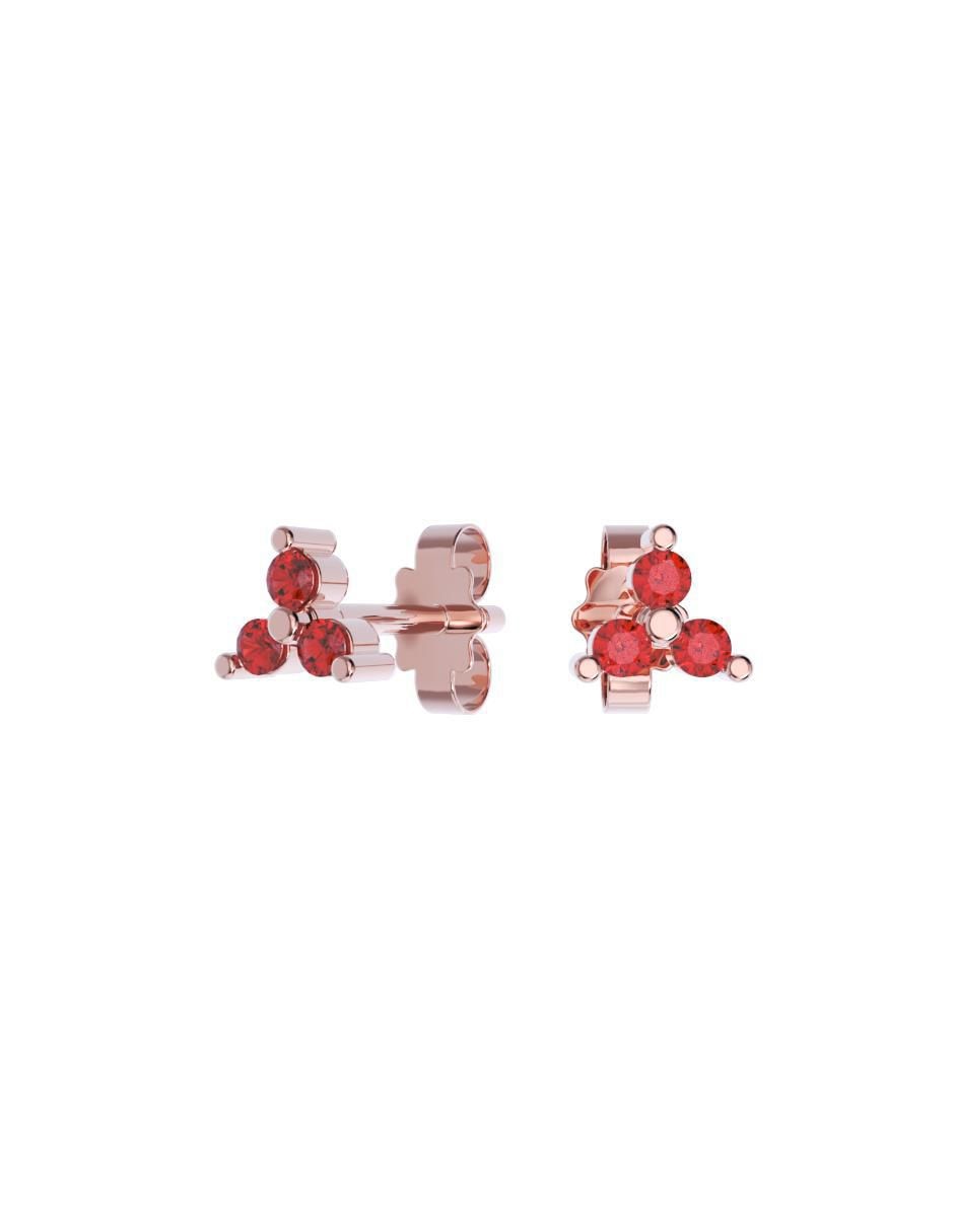 Rosa 2