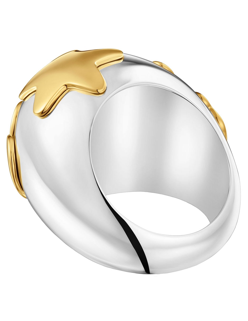 Anillo Warm de plata P 925 con acabado baño de oro 3