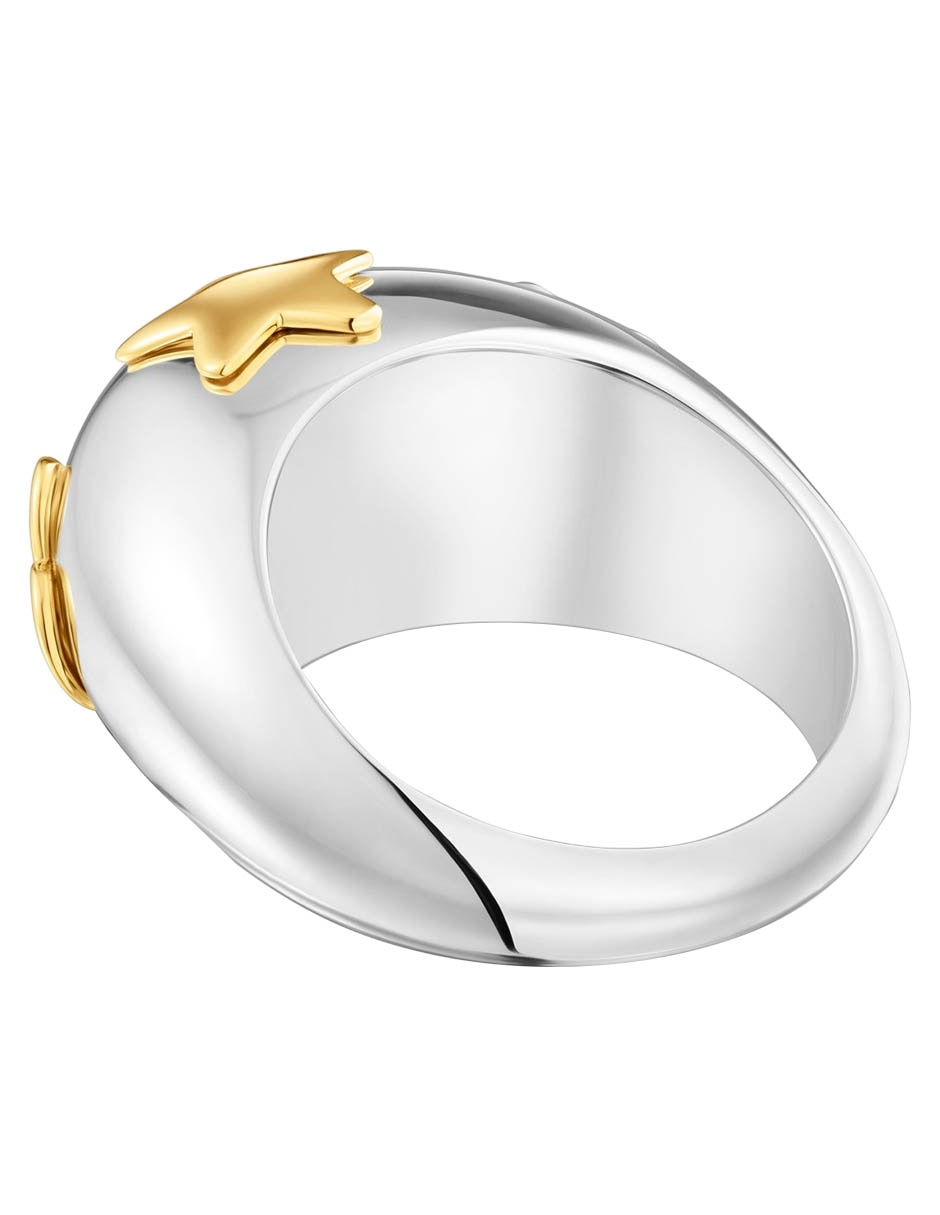 Anillo Warm de plata P 925 con acabado baño de oro 3
