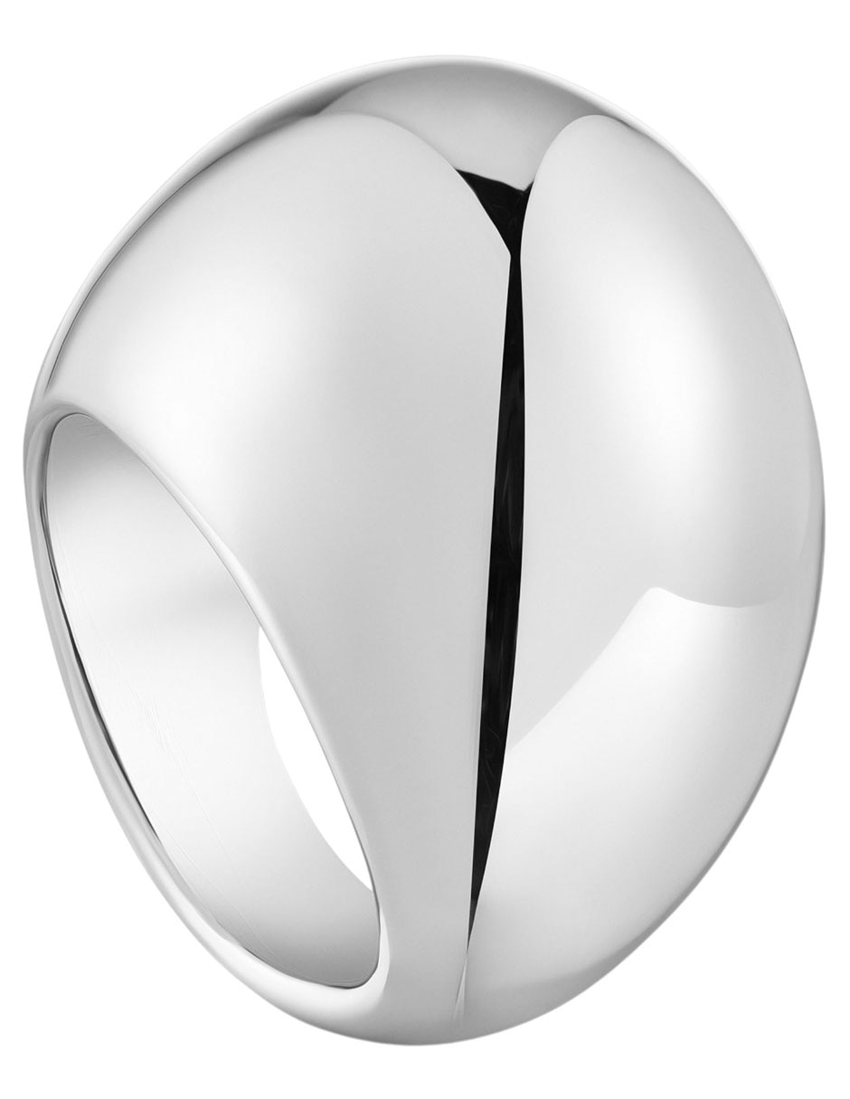 Anillo Warm P 925 de plata brillante 2